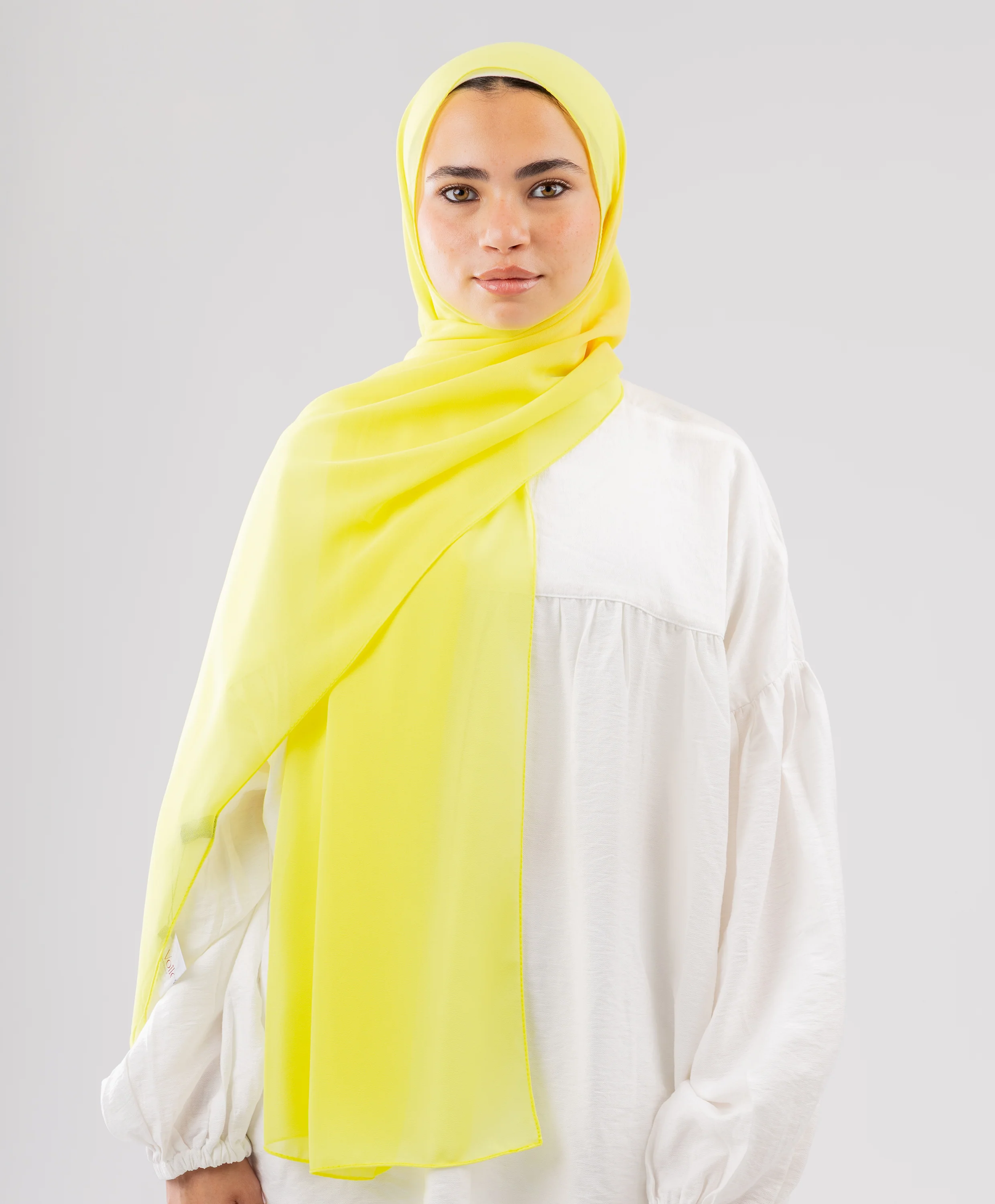 Vital Chiffon Scarf (Small Size) - Image 22